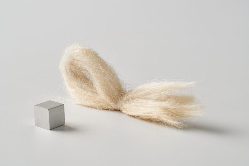 Bambusfasern | Material-Archiv
