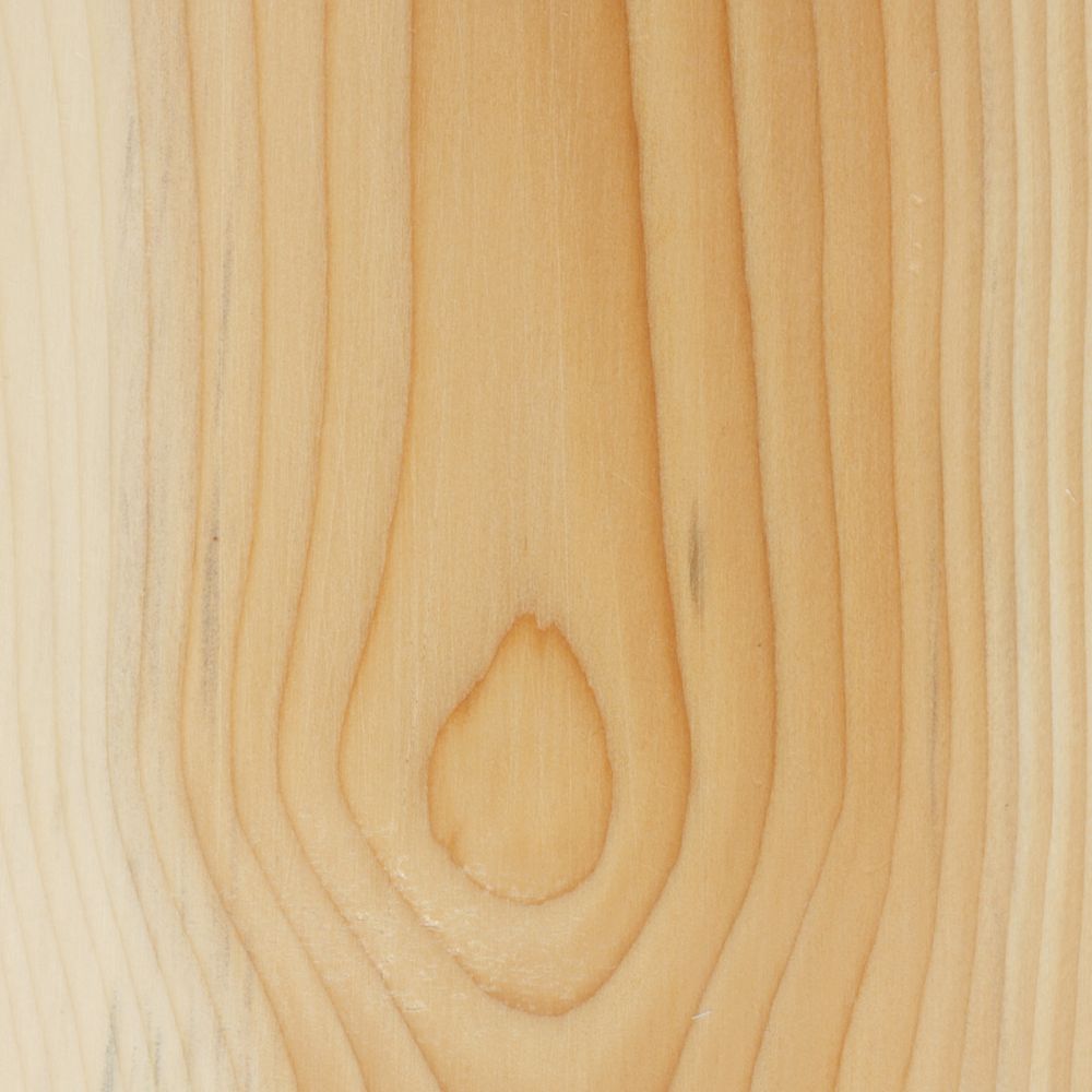 Eibe | Material-Archiv