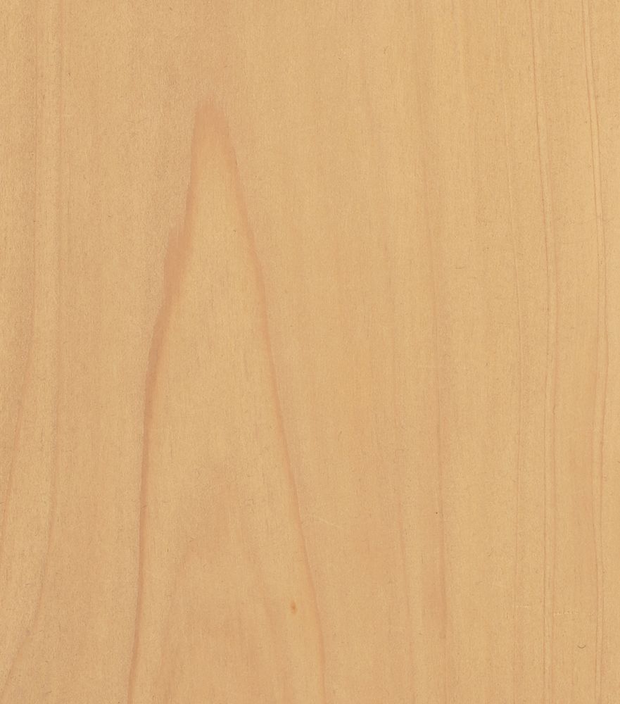 Thuja | Material-Archiv