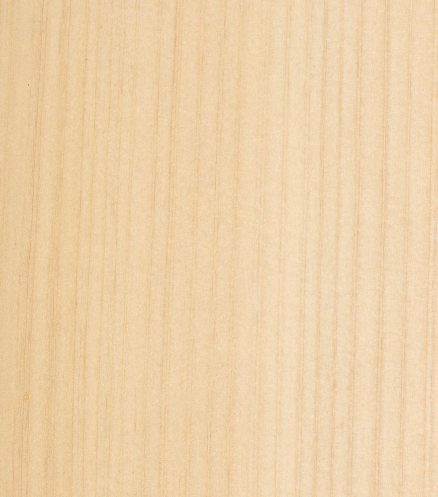 Thuja | Material-Archiv