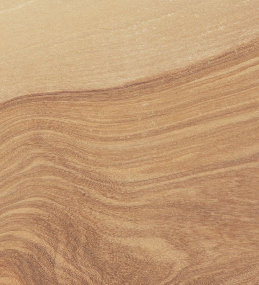 Olivenbaum | Material-Archiv