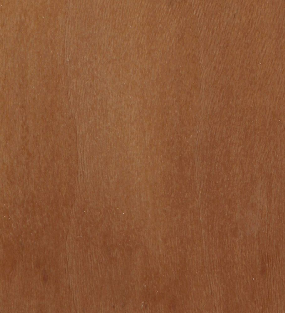 Platane MaterialArchiv